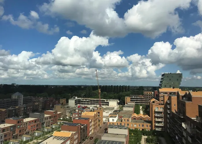 De Boomhut * Rotterdam